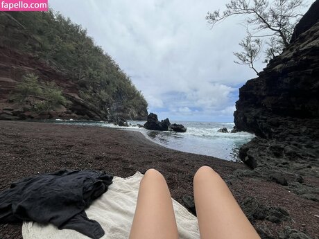 sighswoon art star archive