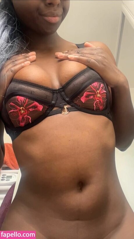 sfits244 model top img