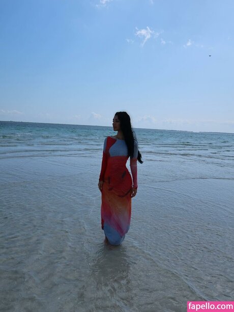 adolladola star art galleries