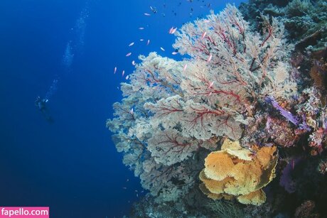 Jessica Segura pornstar exclusive archive