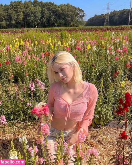 kayla wiggins star art images