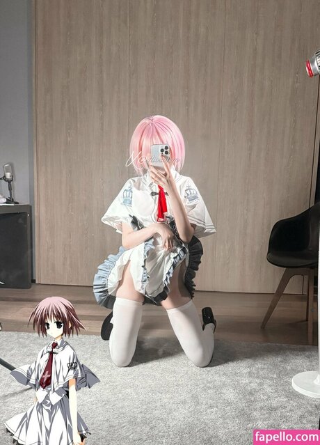 shibachipipa star free img