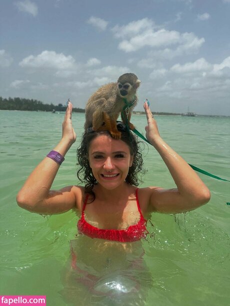 prymrr art star picture