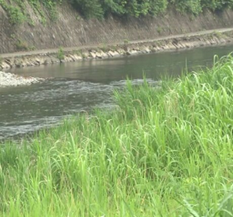 Ryo Ayumi pornstar best picture