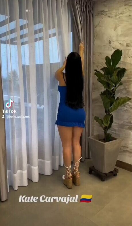 kate carvajal pornstar pretty archive