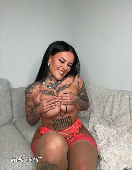 Niamh Velvet star free photo