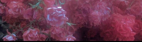 THE HOTTEST PAWG_ perfect model pic