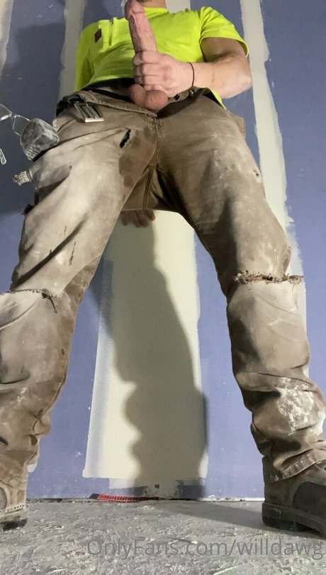 willdawg star top galleries