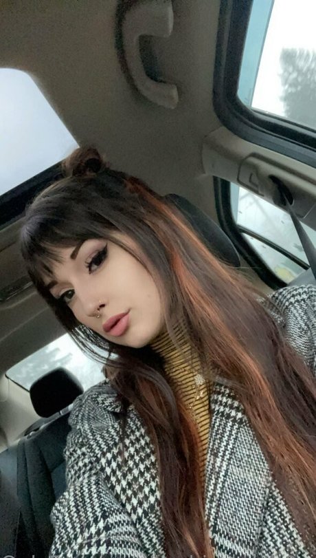 herbivorewh0revip Profile pic