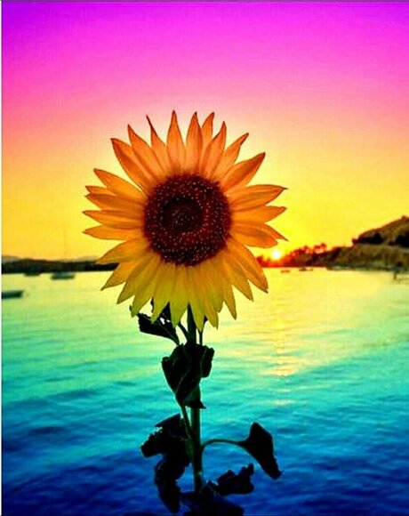 Chielsey_ nice model picture