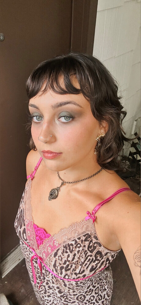 timber art star pictures