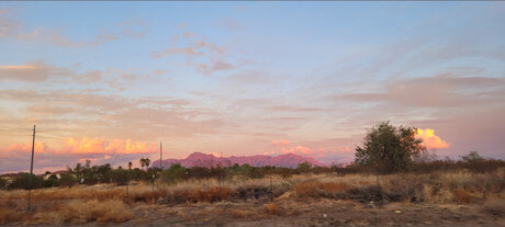 Citizen pretty model pics