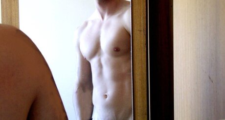 Cal B_ perfect model image