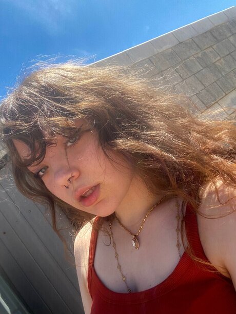 Laila Quinn xxx pornstar image