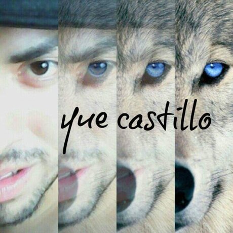 Orlando Castillo nude pornstar pic