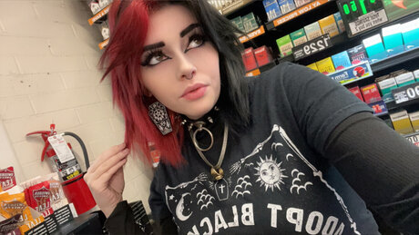 Dahlia Sunflower hd model galleries