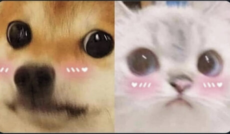 Sugar Rush_ erotic model galleries