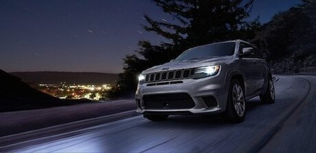 David T Lloyd xxx model image