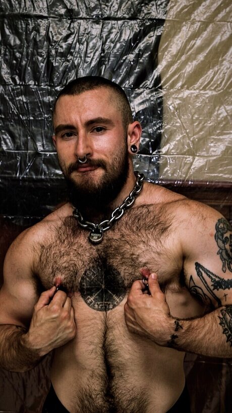 Mirko star free archive