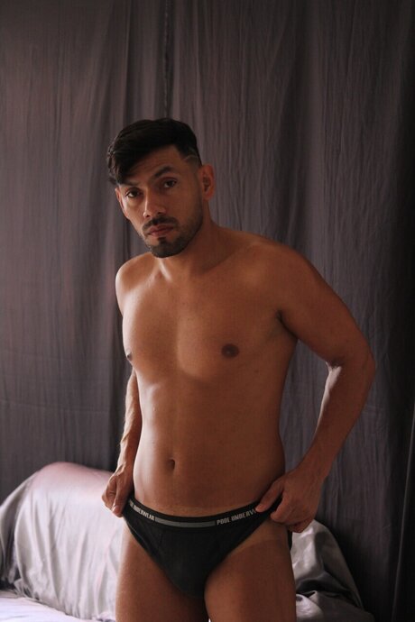 Charmyleon model best pictures