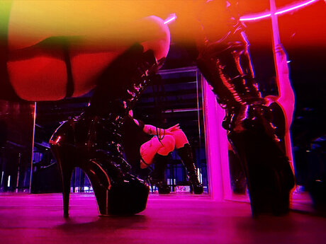 Ava Bees Bumbles pornstar exclusive image