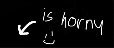 Miss Vera_ erotic pornstar galleries