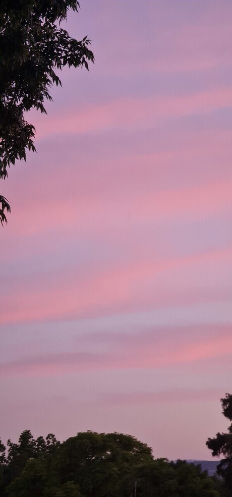 Holla Nola model pics