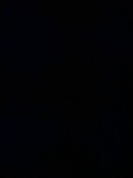 Rosy Ray_ xxx actress image