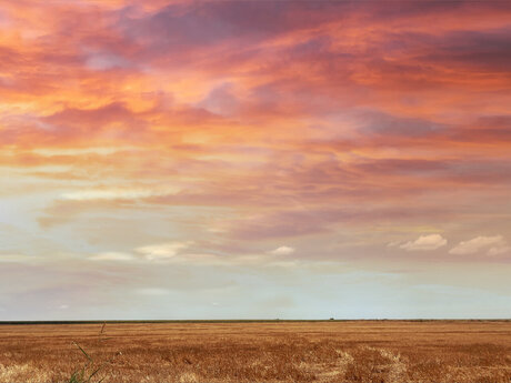 Kristian Zaz star porn pictures