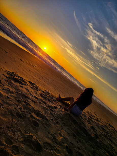 Michel star galleries