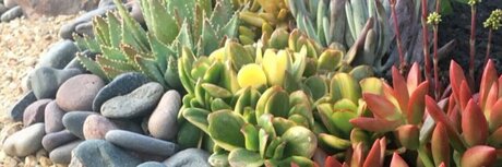 Nova Grace adult star image