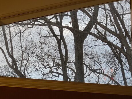 Trans M lf beautiful actress gallery