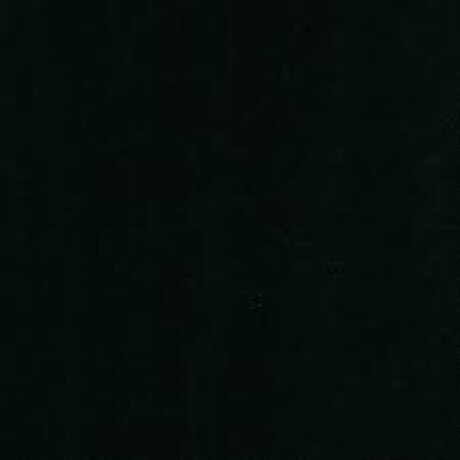 Happylizard model erotic pic