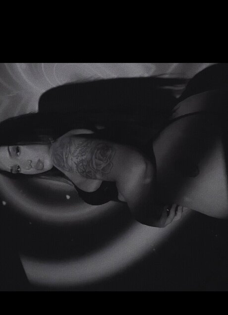 u28833305 star sex image