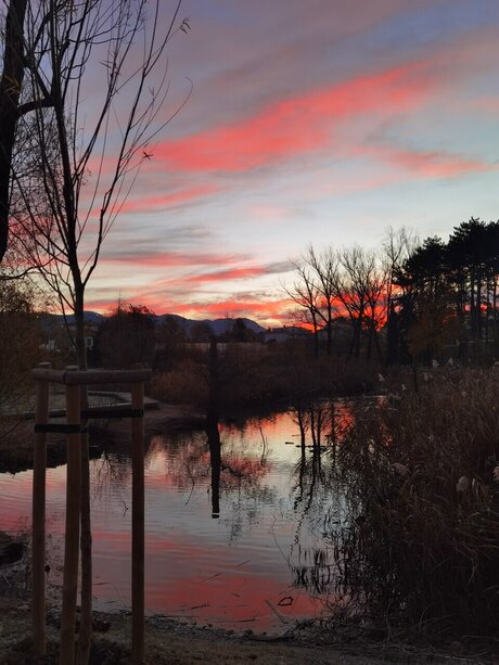 BlueGirl hd pornstar photos