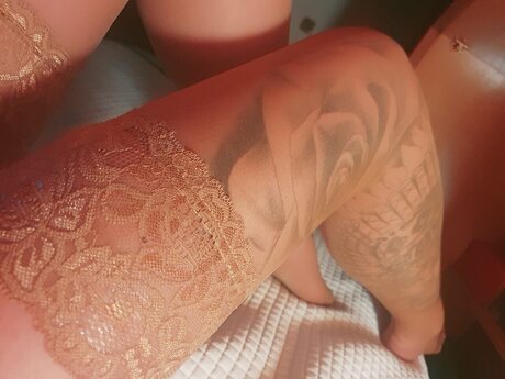 Mundolibre10 star images