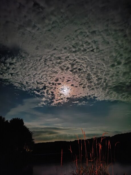 Sunshine Marie adult actress photo