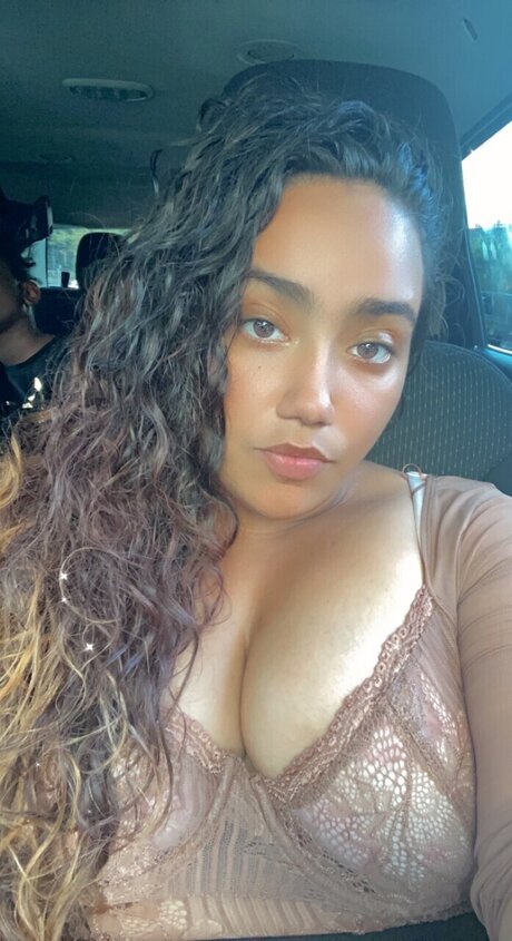 Playful bandit model best image