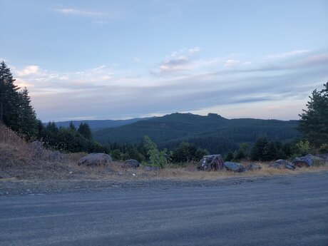 Whatsurdesire star hd galleries