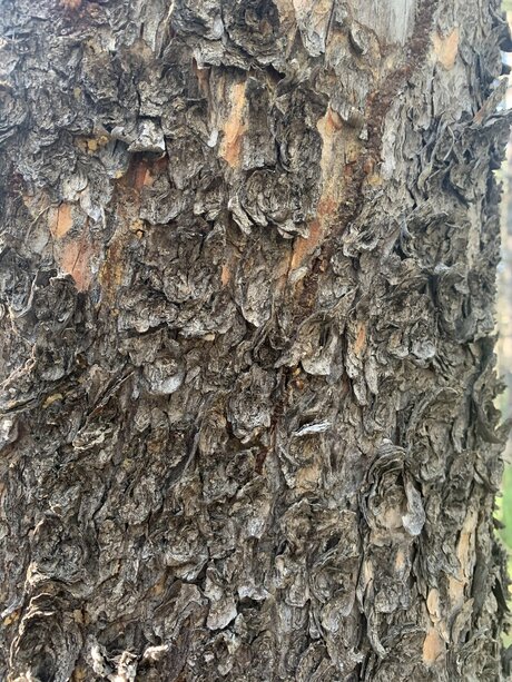 Urgeman377 pornstar nice img