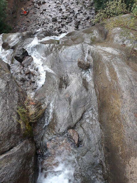 TrippieGypsy model adult gallery