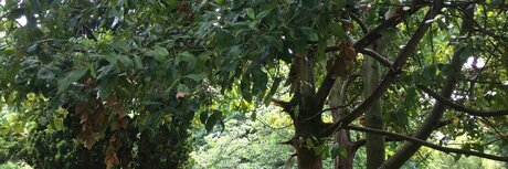 Curt s Acting Naughty top actress gallery