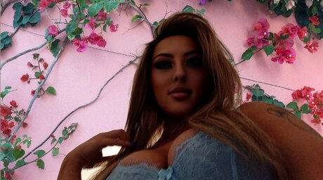 Mercedes_ hot model gallery