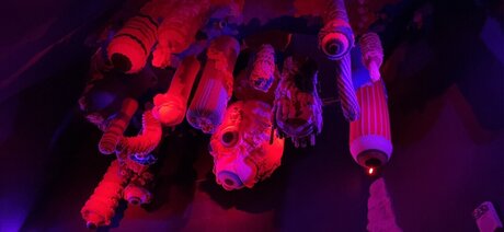 Nala Kinks pornstar naked img