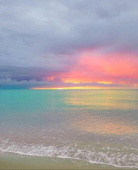 C H A N E L nudes star pictures