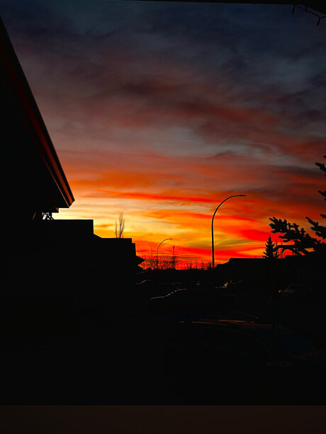 Ella May best actress pics