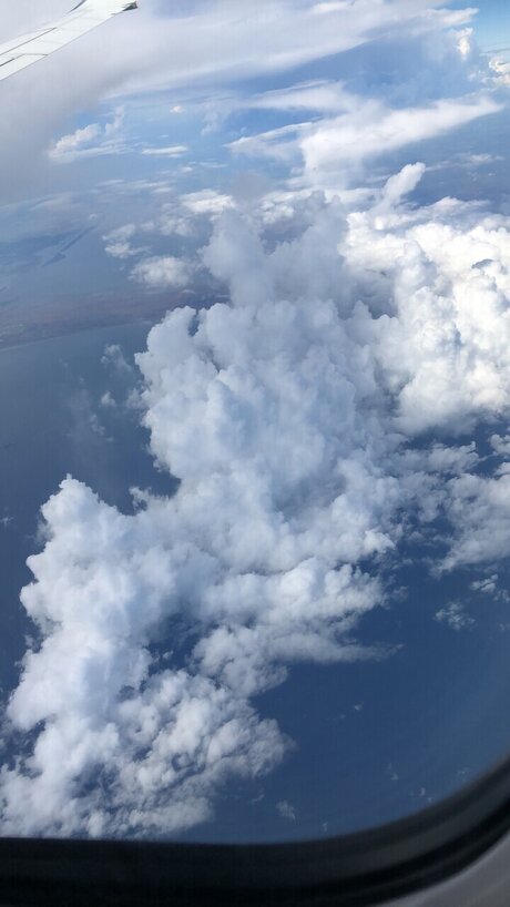 NiCholee best model pics