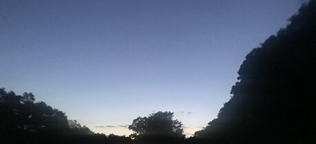 Feet Pic Provider model adult img