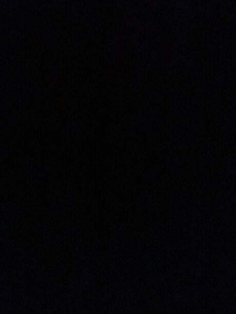 Bailie dianna pornstar exclusive image