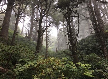 maddi atterton star hd img